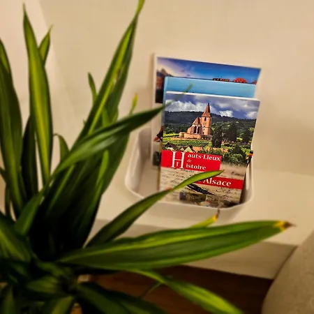 Appartement Confort Proche Gare Et Centre-ville Strasbourg